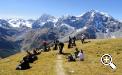 Gruppenwanderungen im Nationalpark